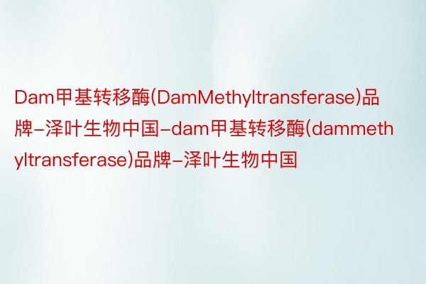 Dam甲基转移酶(DamMethyltransferase)品牌-泽叶生物中国-dam甲基转移酶(dammethyltransferase)品牌-泽叶生物中国