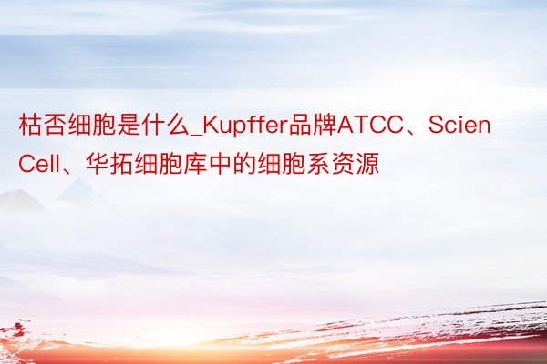 枯否细胞是什么_Kupffer品牌ATCC、ScienCell、华拓细胞库中的细胞系资源